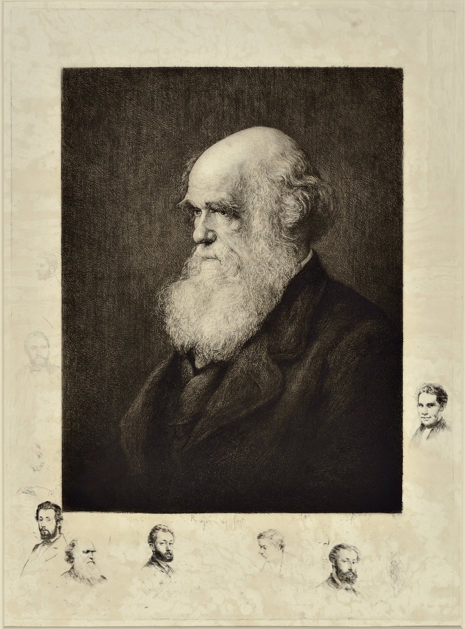 Charles Robert Darwin de Paul Adolphe Rajon