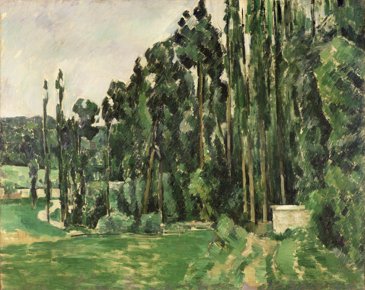 Los álamos, c.1879-82 de Paul Cézanne