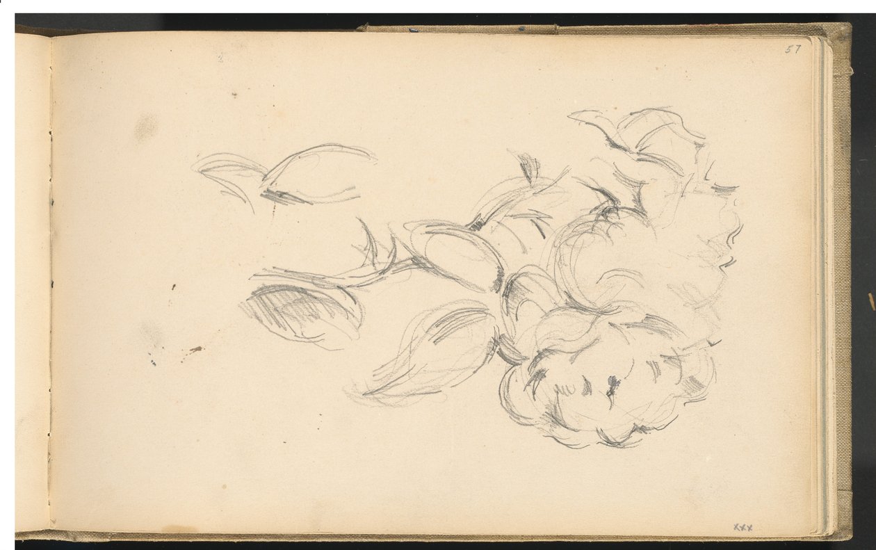 Peonías de Paul Cézanne