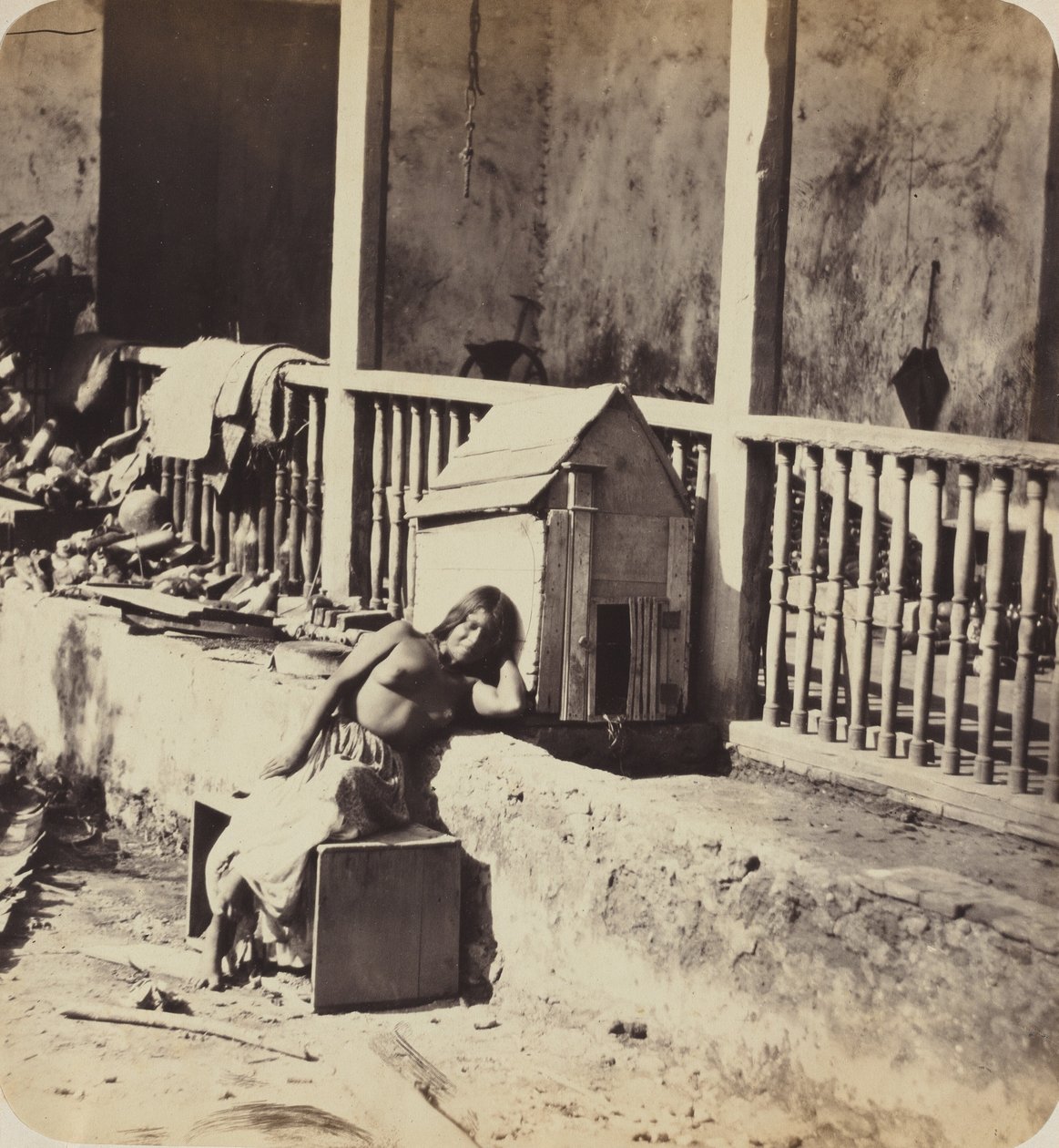 Perro de Garvel (Martinica),década de 1870 (foto) de Paul Emile Miot