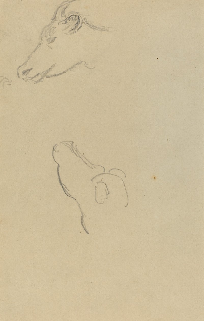Cabeza de una vaca de Paul Gauguin
