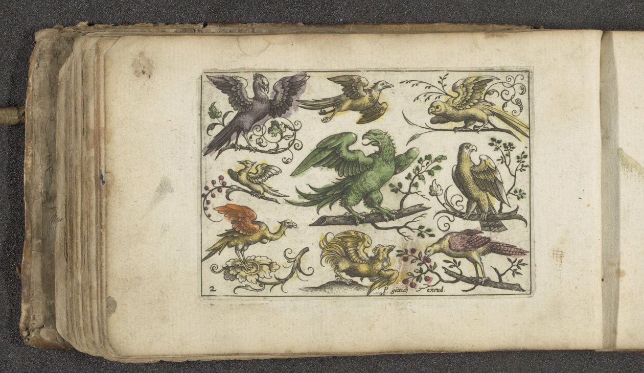 Ave de rapiña y otras diez aves Pájaros (título de la serie) de Paul Göttich