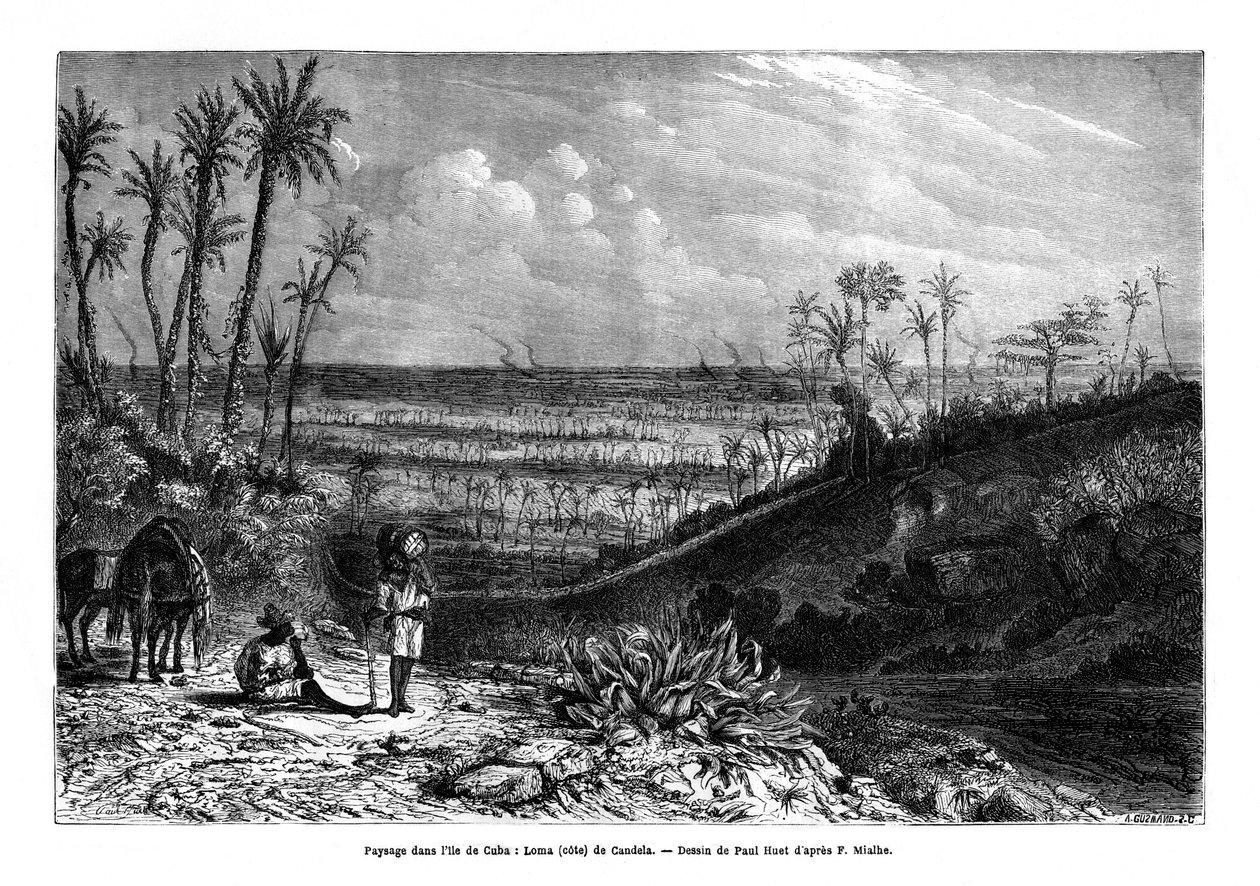 Paisaje en la isla de Cuba, 1859 de Paul Huet