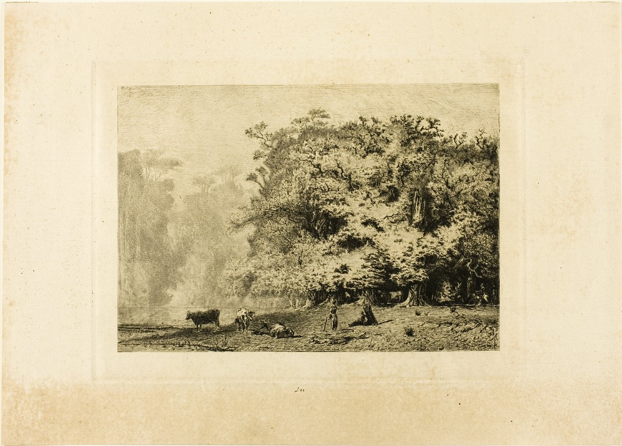 Cerca de Fontainebleau de Paul Huet