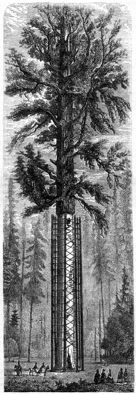 Parque Nacional Yosemite, California, siglo XIX de Paul Huet
