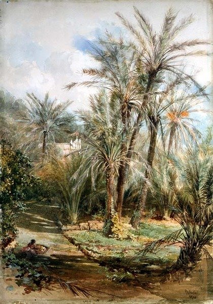 El jardín de las palmeras, Bordighera de Paul Jacob Naftel