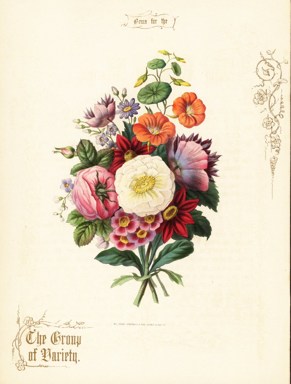 Ramo de rosa blanca, dalia, capuchina, aurícula. de Paul Jerrard
