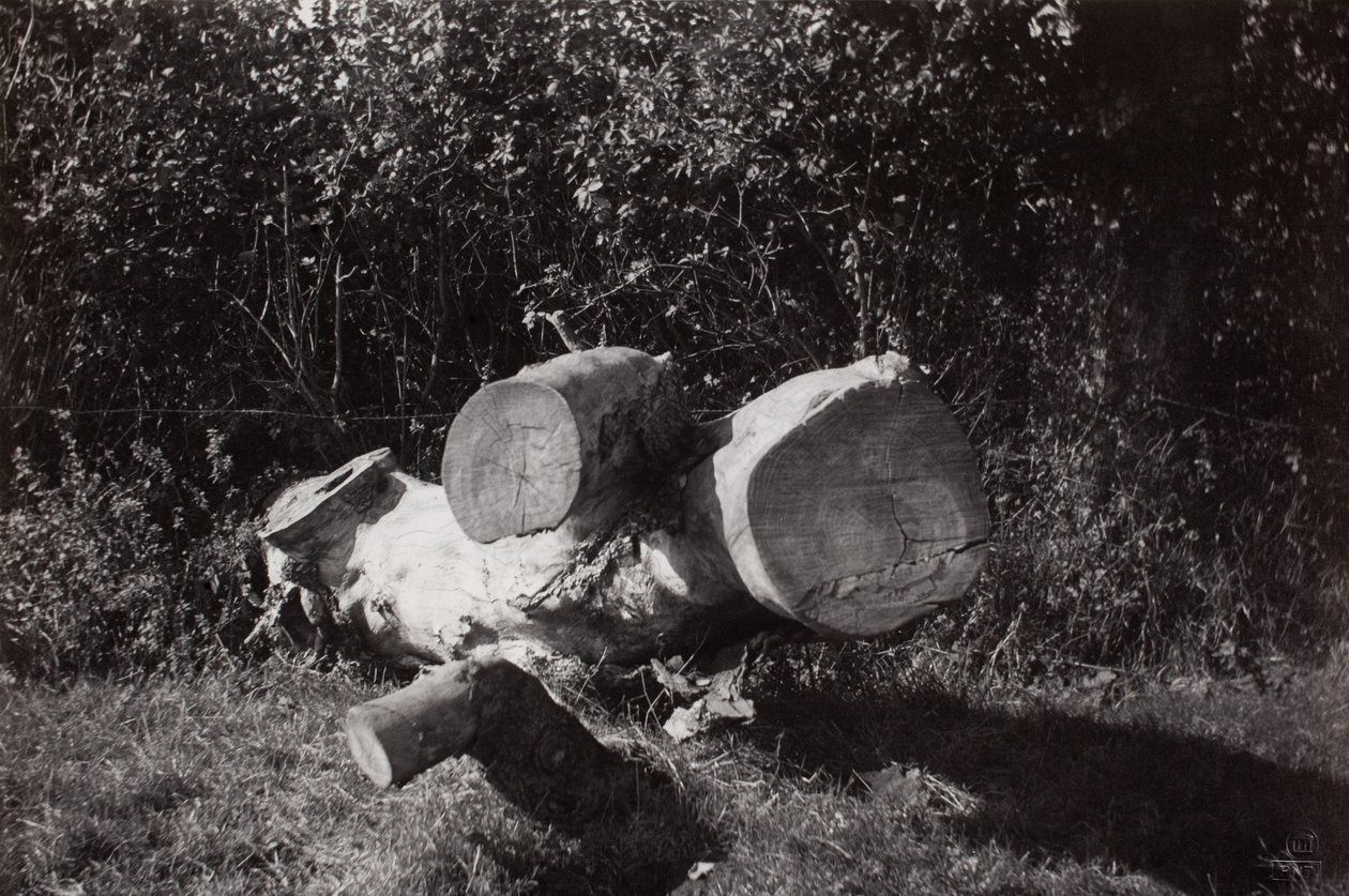 Búsqueda de objetos de Paul Nash