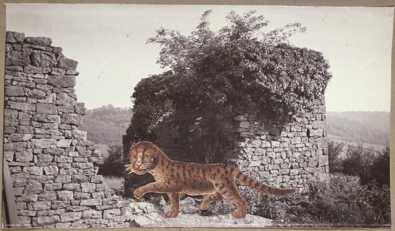 Tigre, Tigre, c.1938 (collage) de Paul Nash