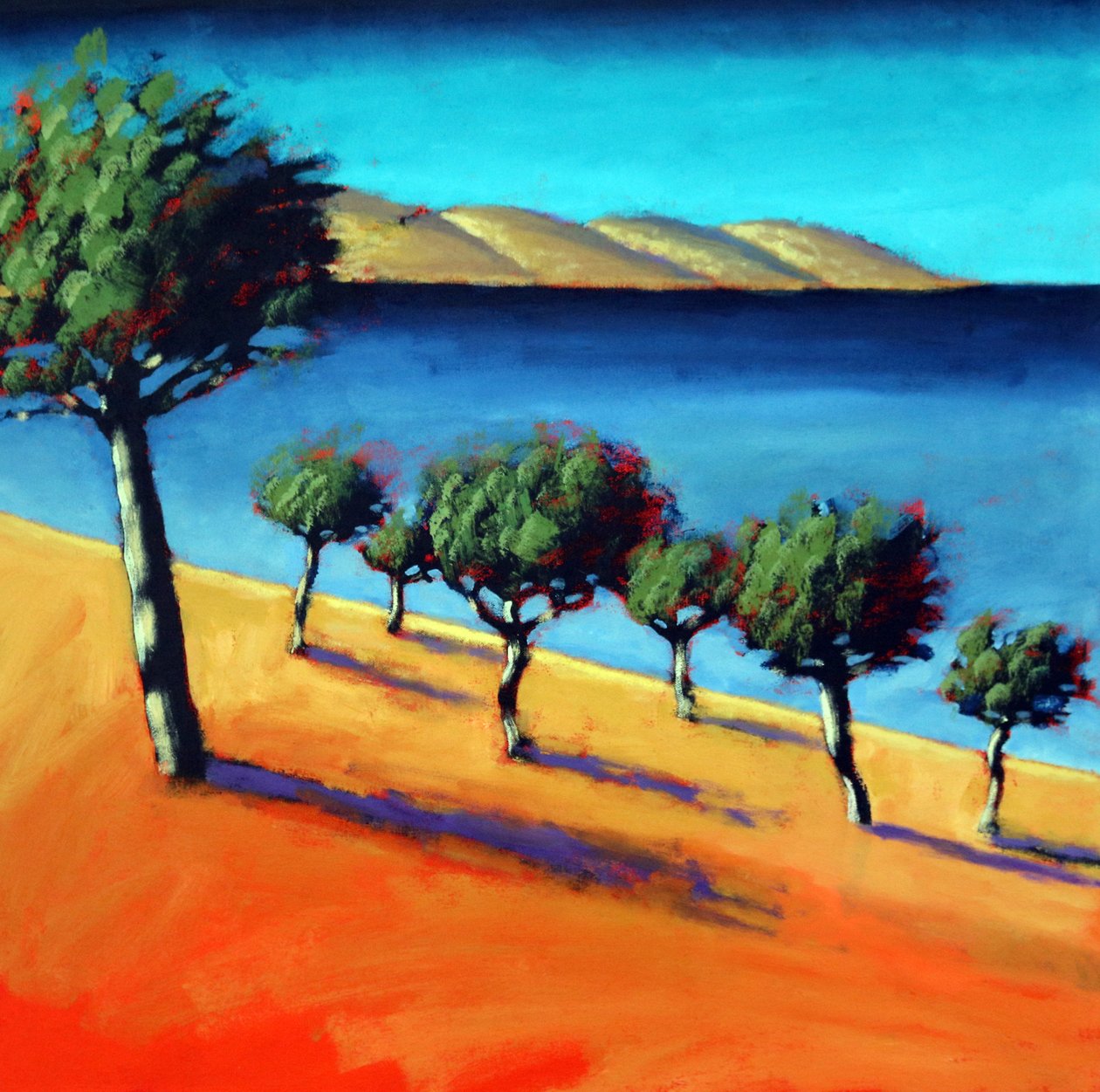La Bahía de Paul Powis