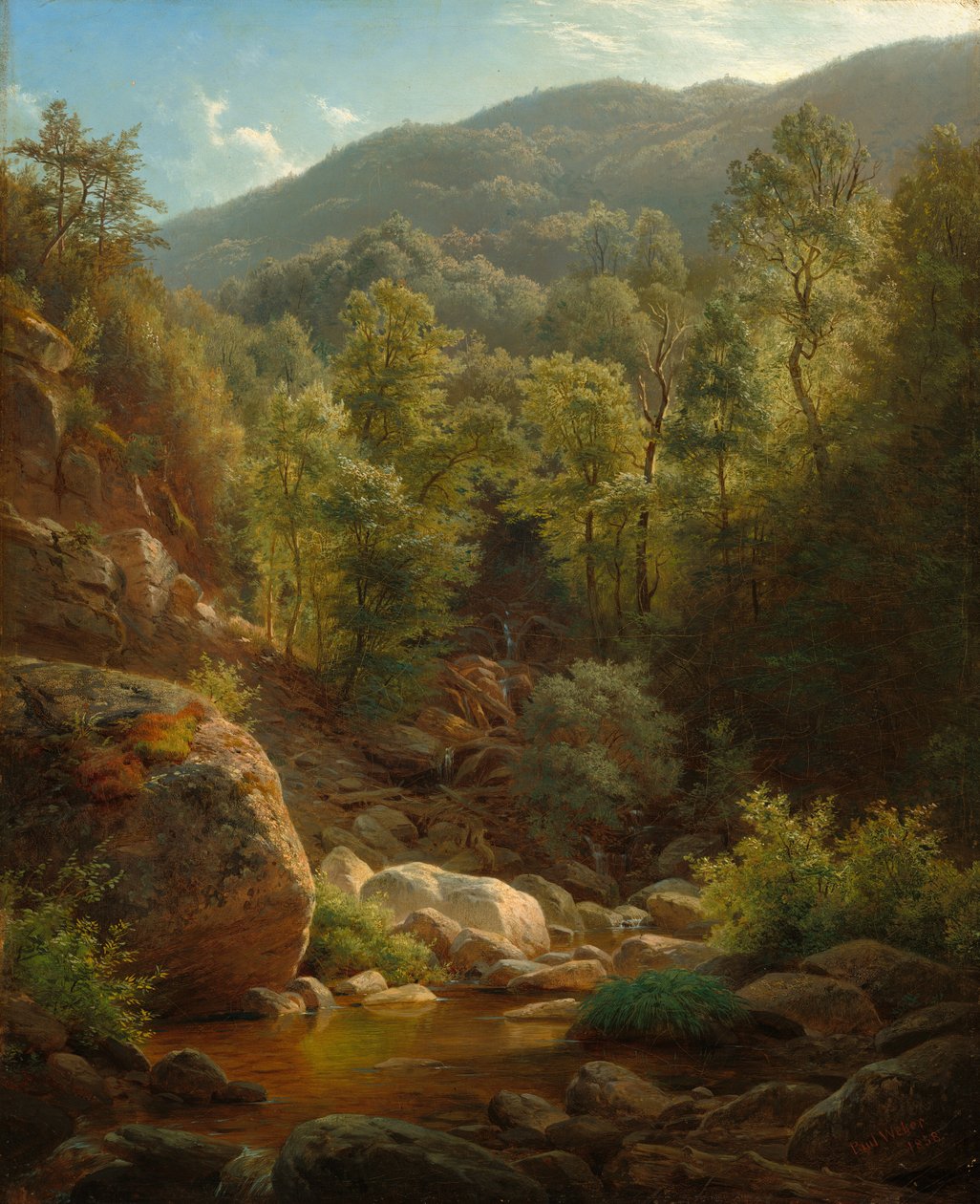 Escena en los Catskills, 1858 de Paul Weber