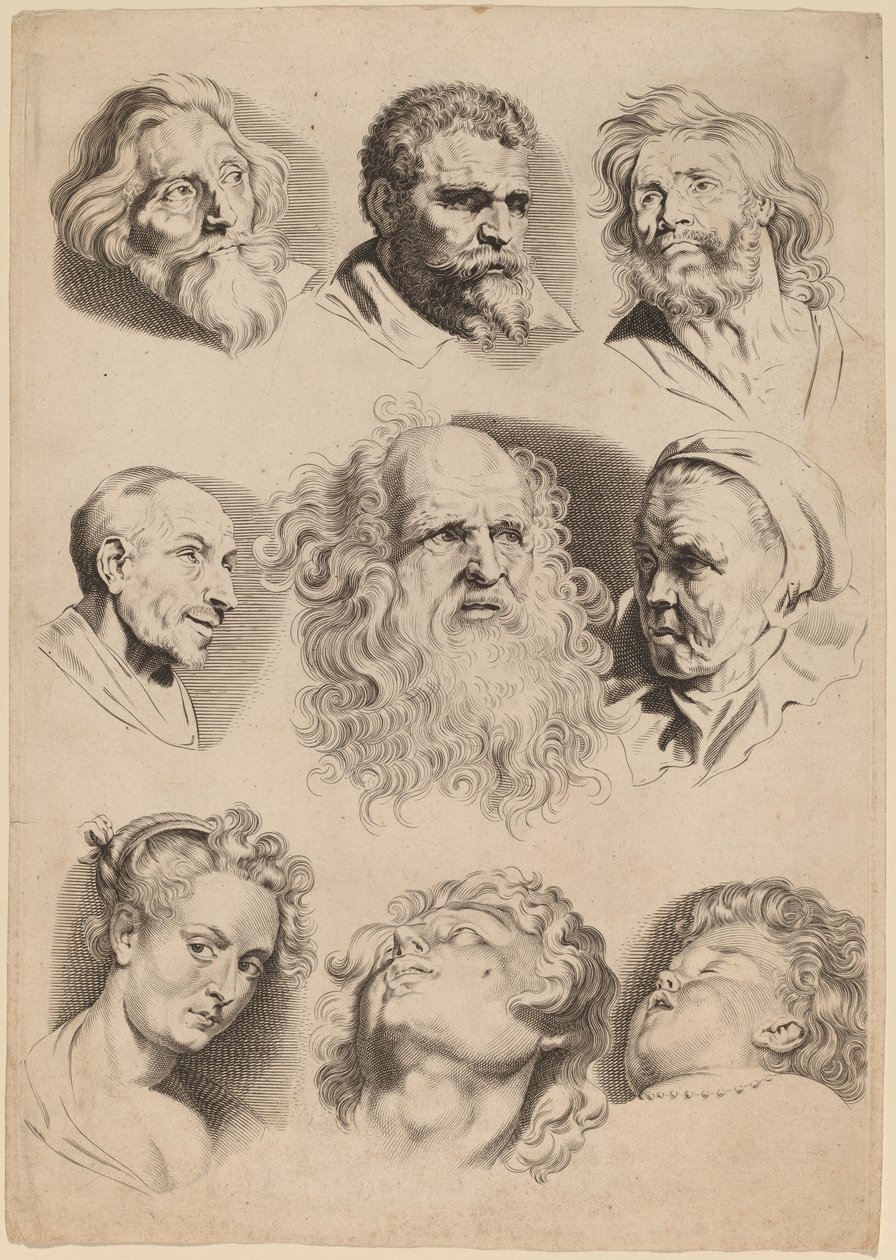 Nueve cabezas de Paulus Pontius after Sir Peter Paul Rubens
