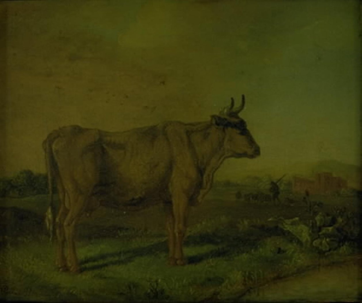 Una vaca de Paulus Potter