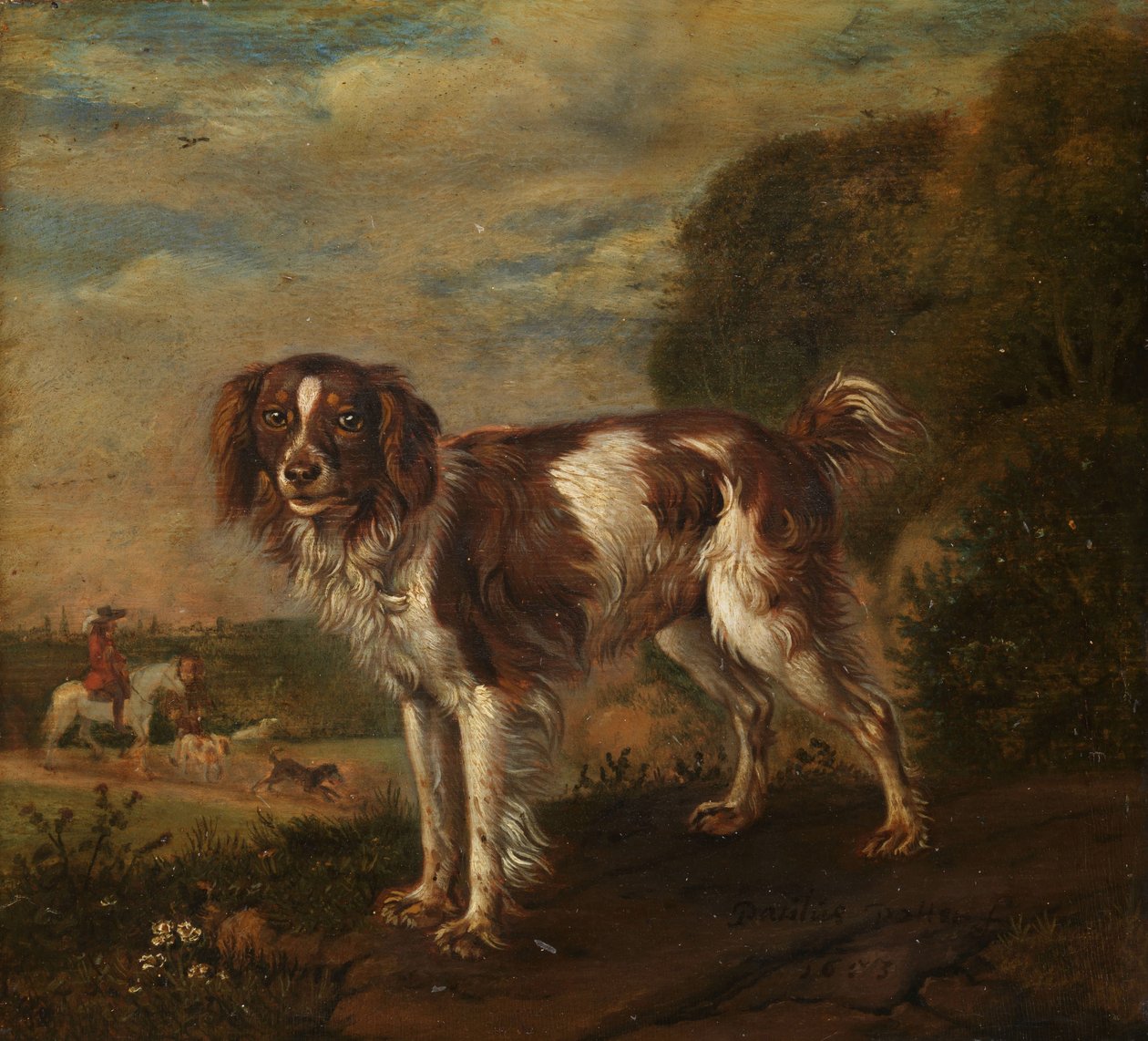Un spaniel de Paulus Potter