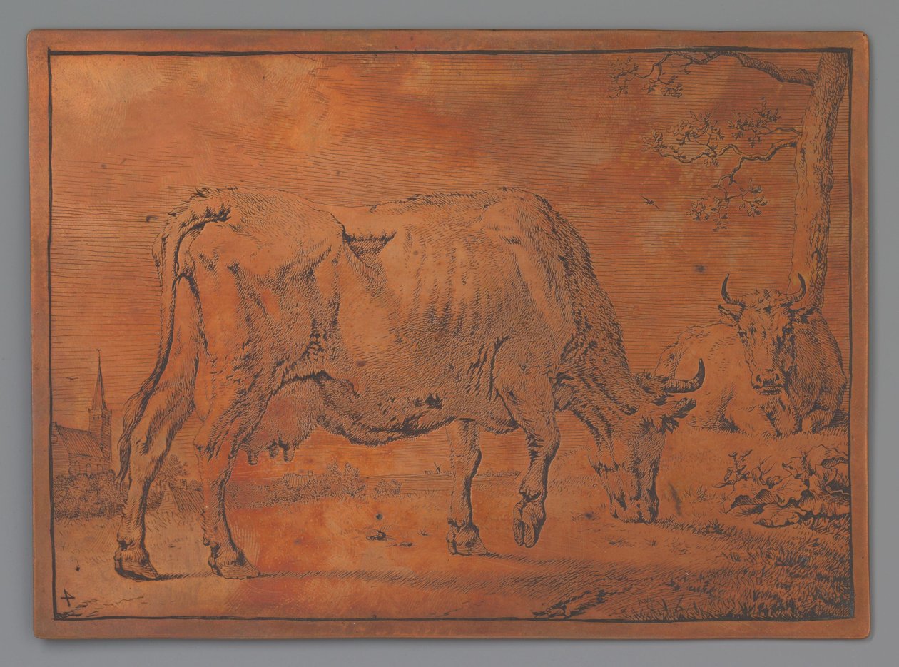 vaca pastando de Paulus Potter