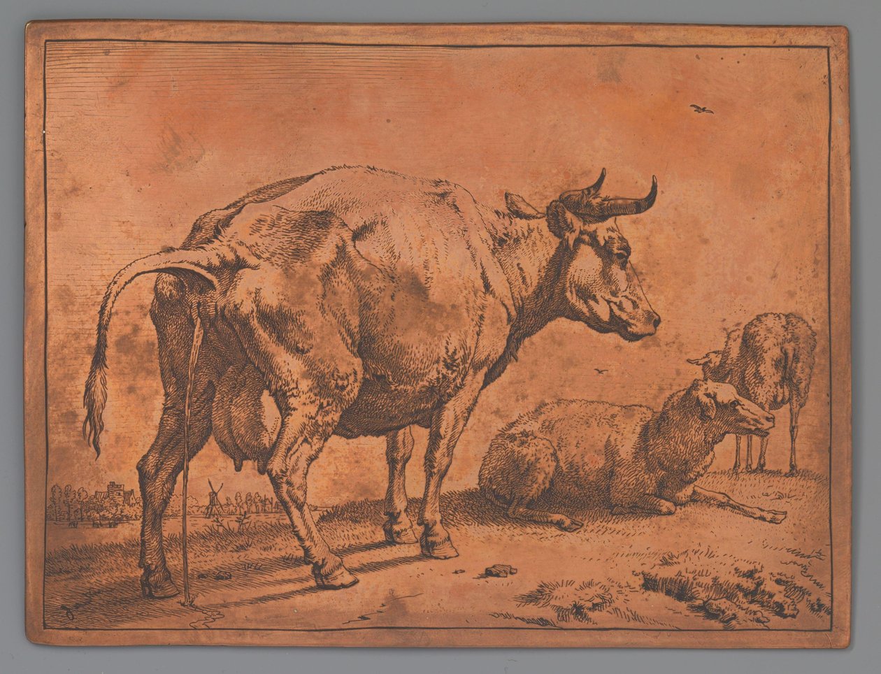 Vaca orinando y dos ovejas de Paulus Potter