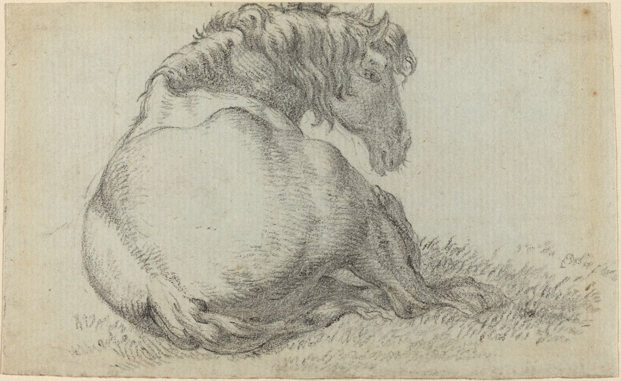 Caballo descansando de Paulus Potter