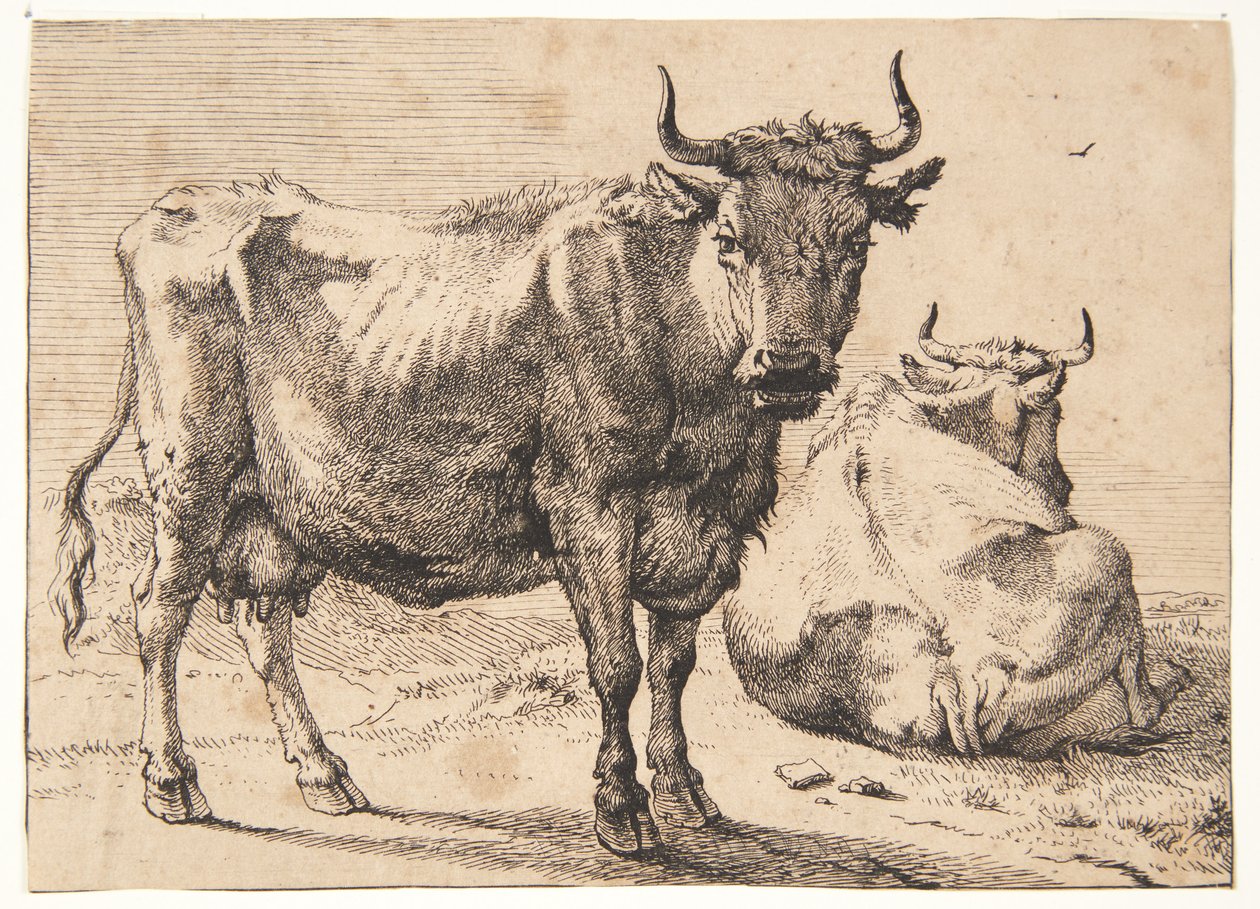 Vaca de pie y tumbada de Paulus Potter