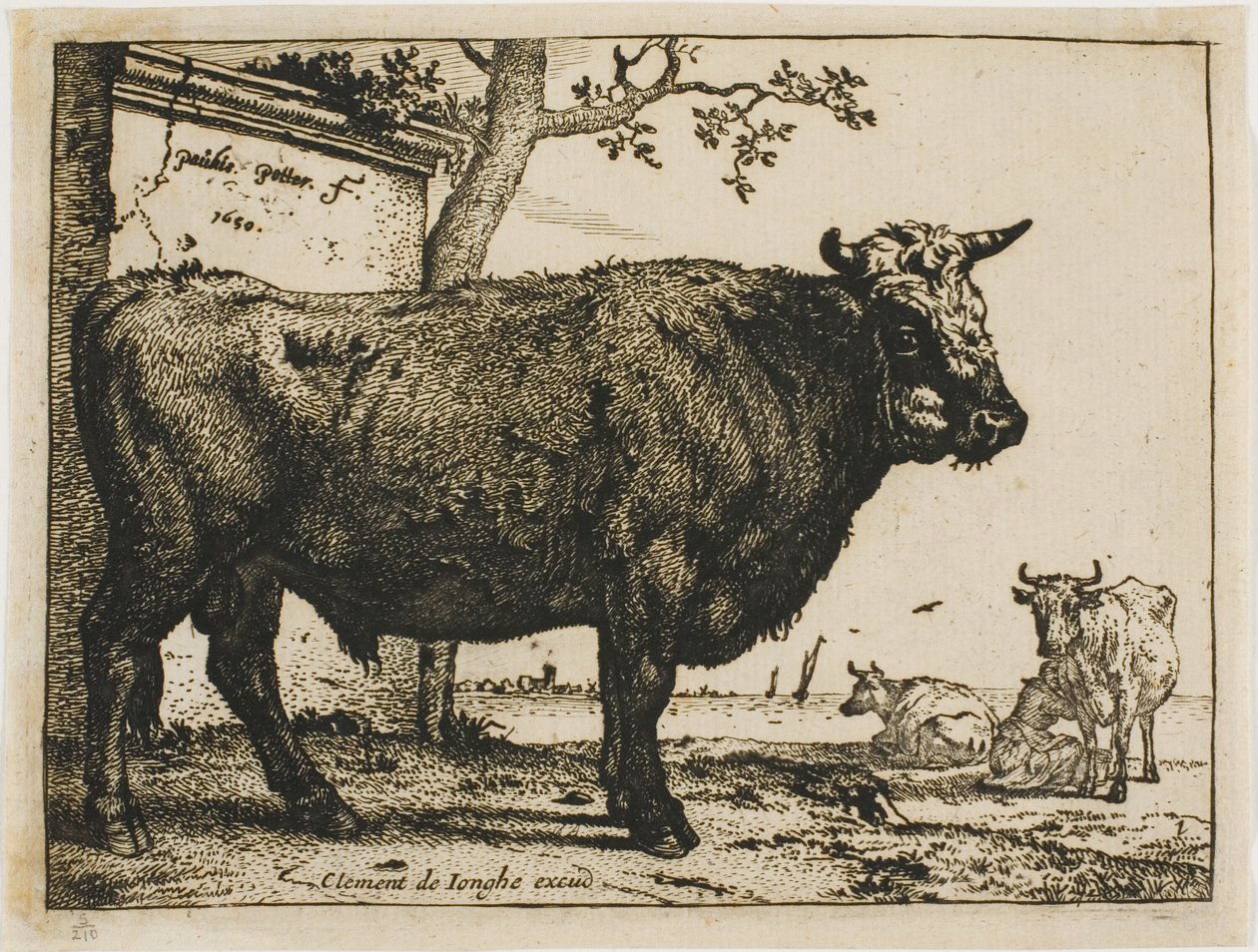 El toro de Paulus Potter