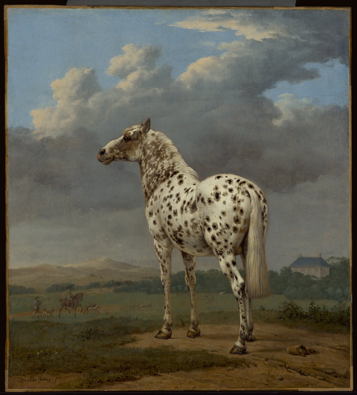 El caballo "Piebald de Paulus Potter