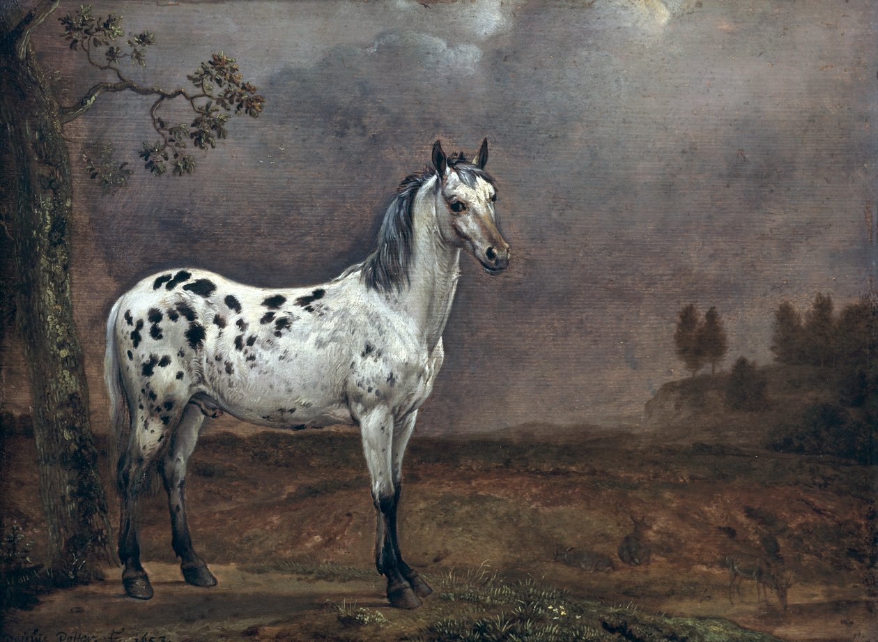 El Caballo Pío de Paulus Potter
