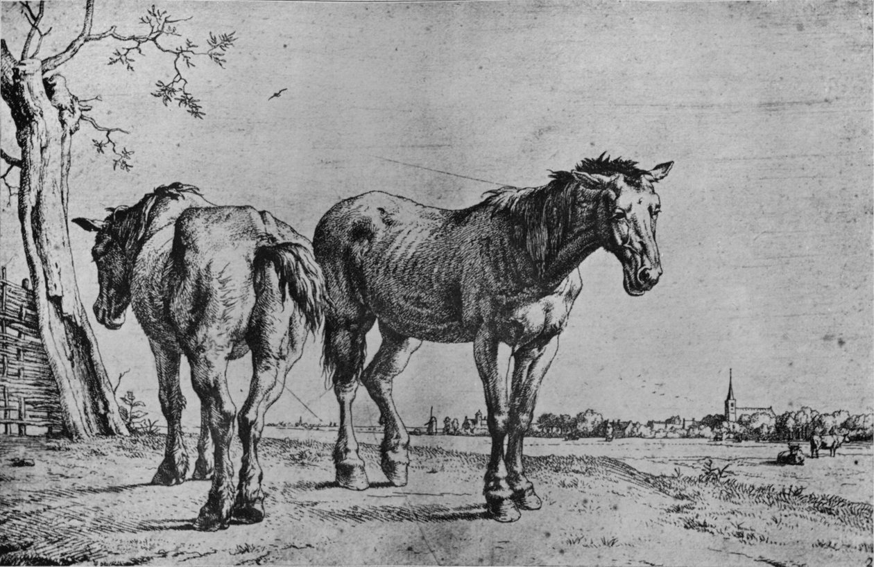 Los dos caballos de arado de Paulus Potter