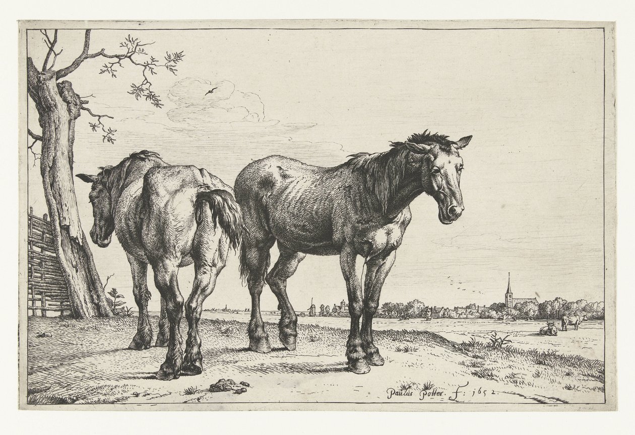 Dos caballos de arado Caballos (título de la serie) de Paulus Potter