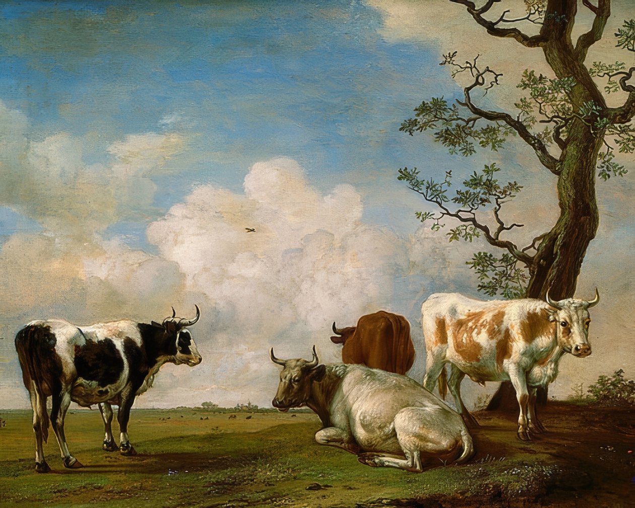 Cuatro toros de Paulus Potter
