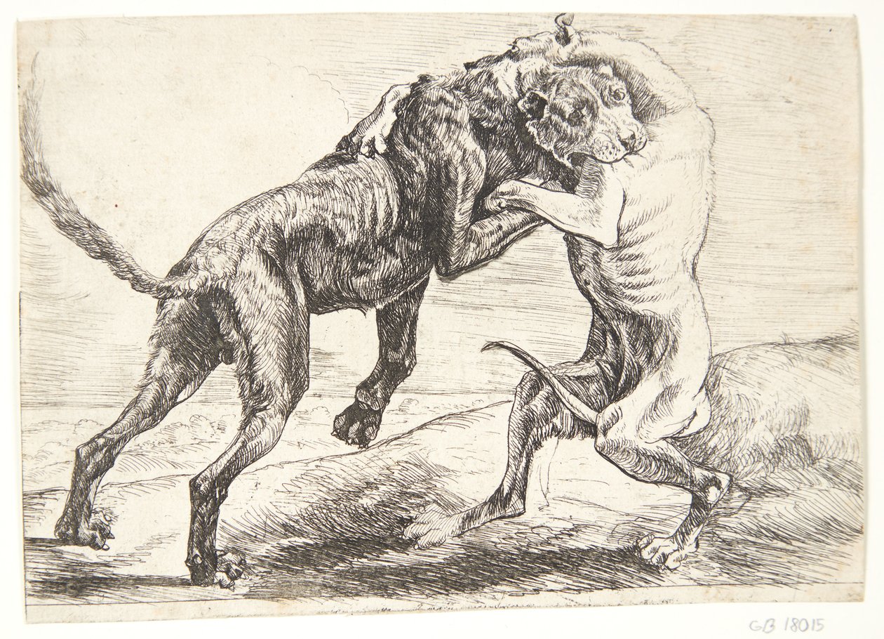 Dos perros peleando de Paulus van Hillegaert (II)