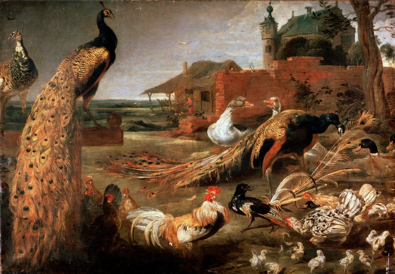 Cuervo en los padres del pavo real, c1615-1690 de Pauwel de Vos