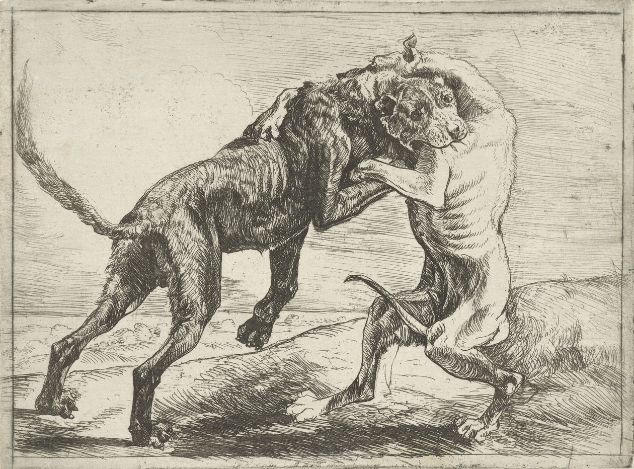 Dos perros de pelea Perros (título de la serie) de Pauwels van Hillegaert