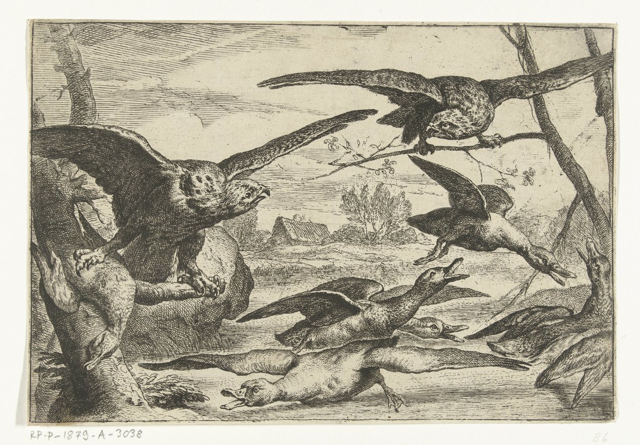 techovogels Aves diferentes (título de la serie) de Peeter Boel