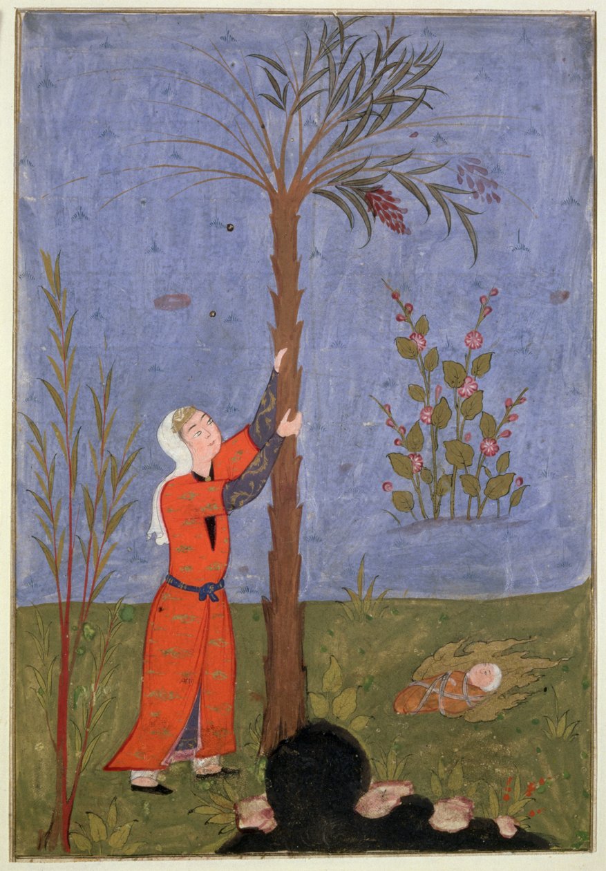 53(d) María agarrando la palmera datilera, miniatura persa, Qazvin de Persian School
