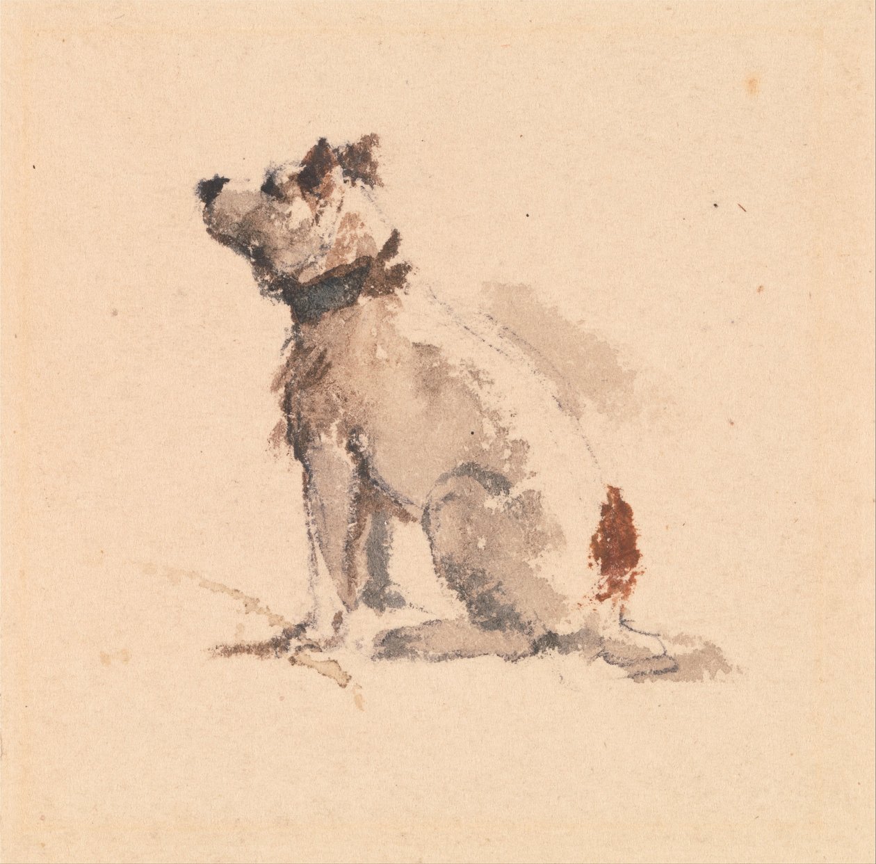 Un terrier, sentado mirando a la izquierda de Peter de Wint