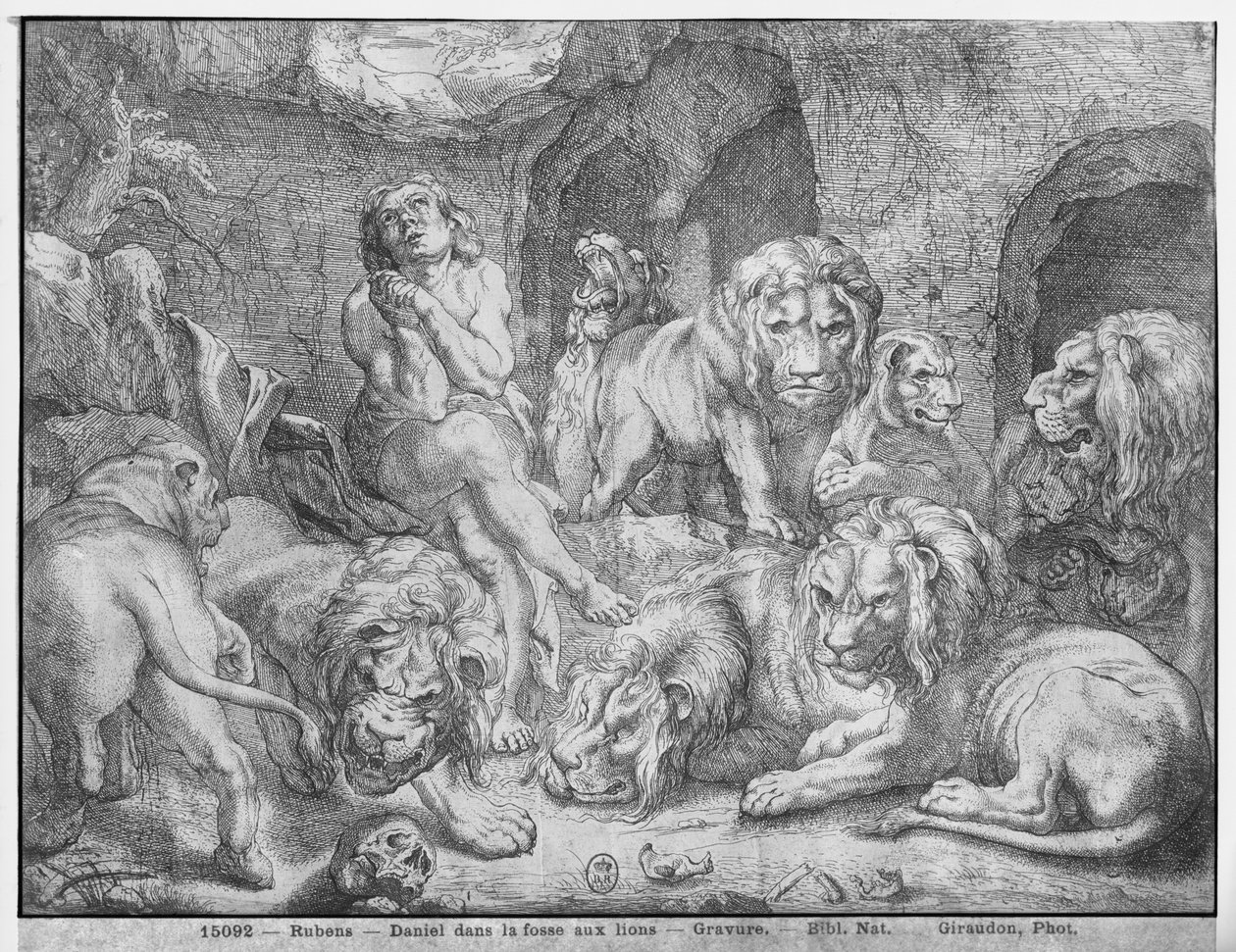 Daniel en el foso de los leones de Peter Paul Rubens