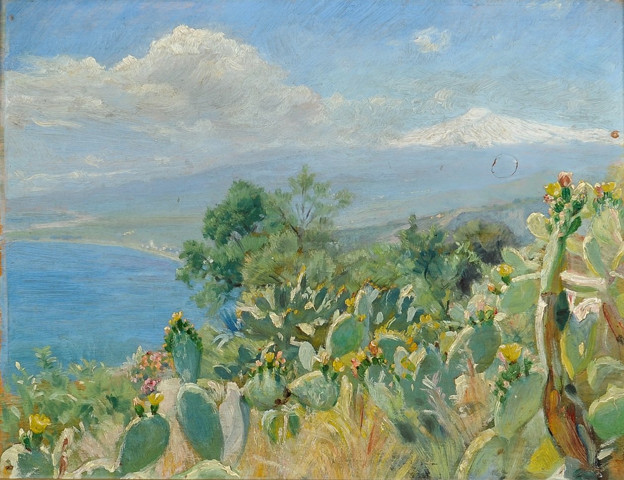 Cactus florecientes cerca de Taormina de Peder Severin Krøyer