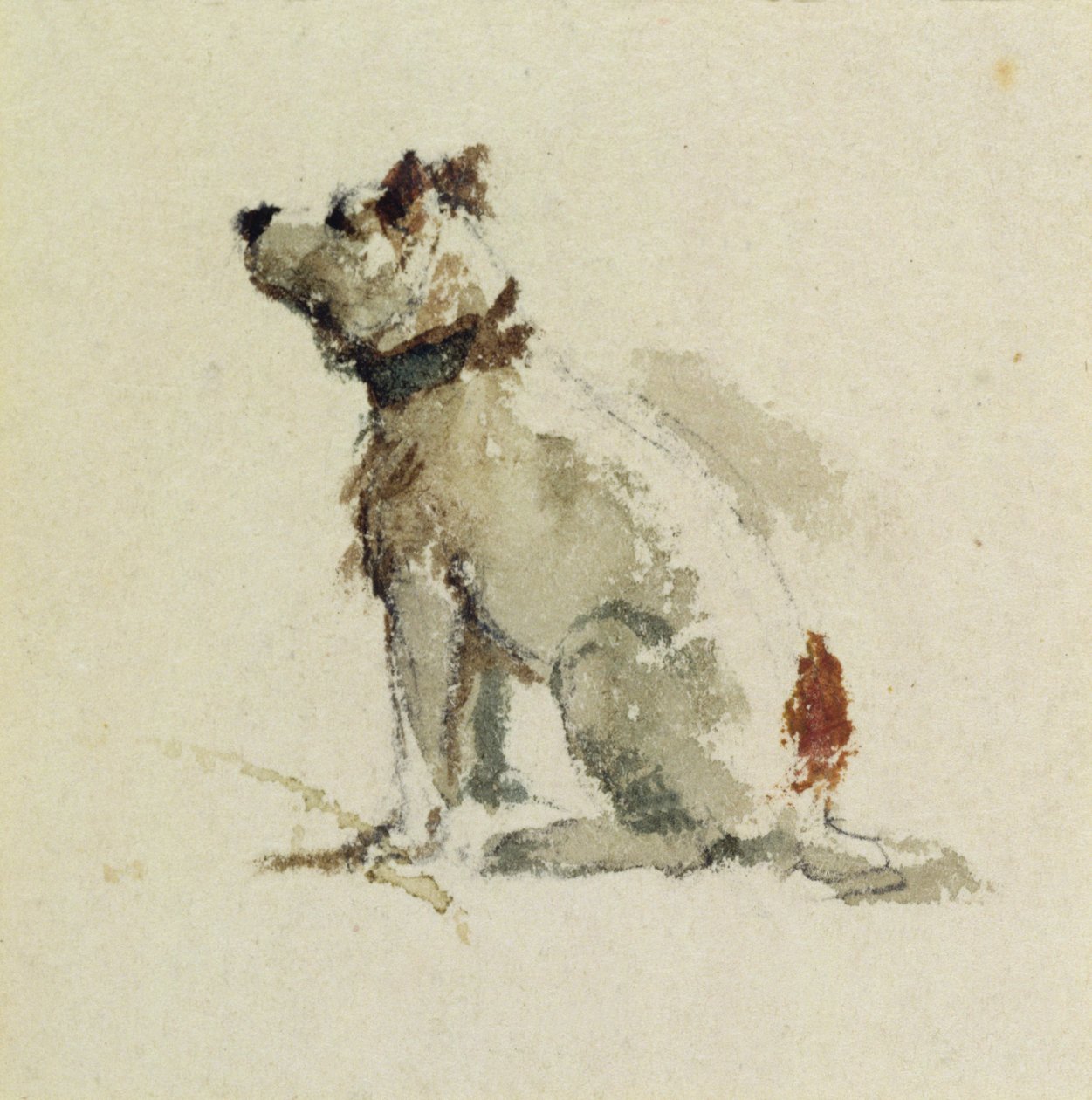 Un Terrier, sentado mirando a la izquierda de Peter de Wint