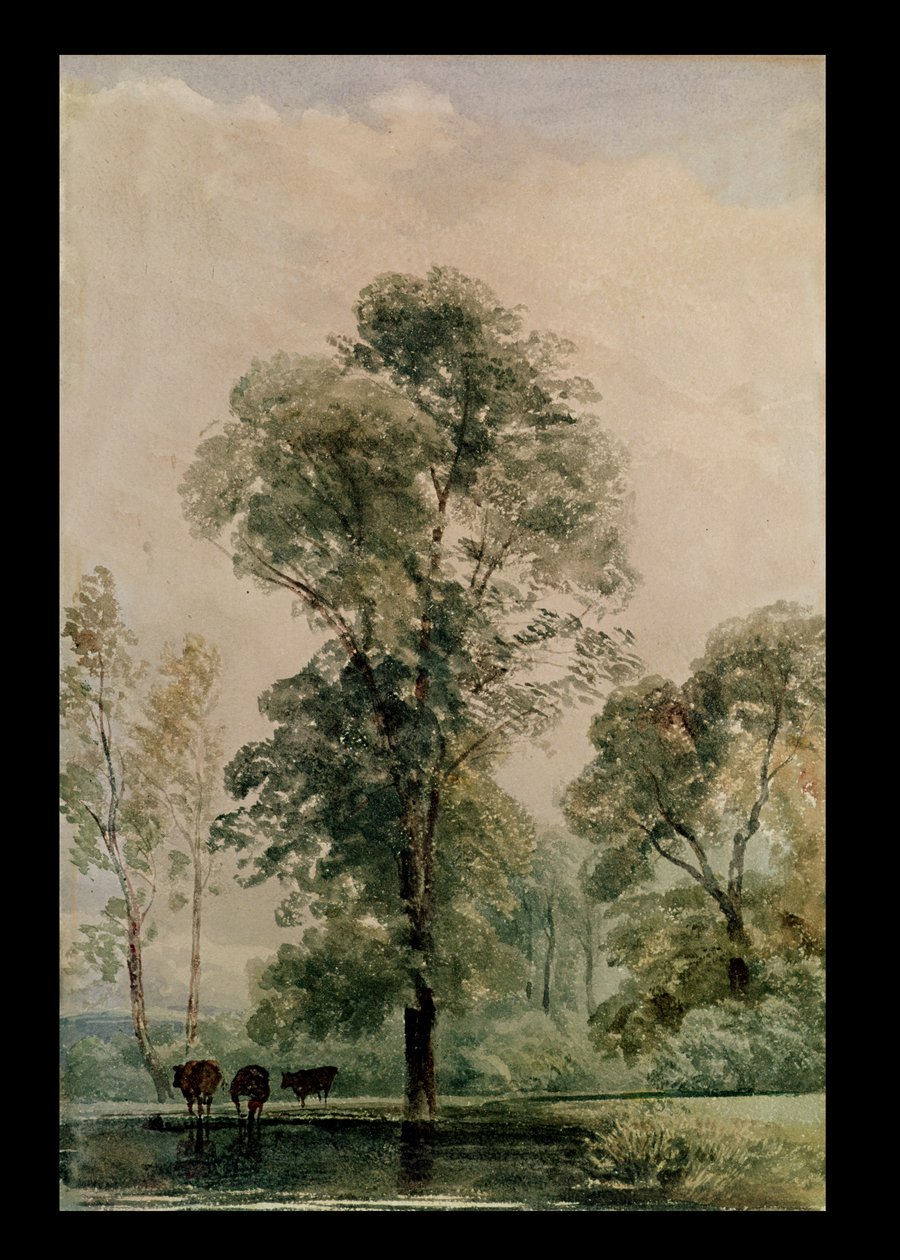 Lugar de riego de Peter de Wint