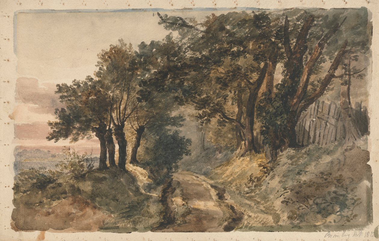 Bromley Hill de Peter DeWint