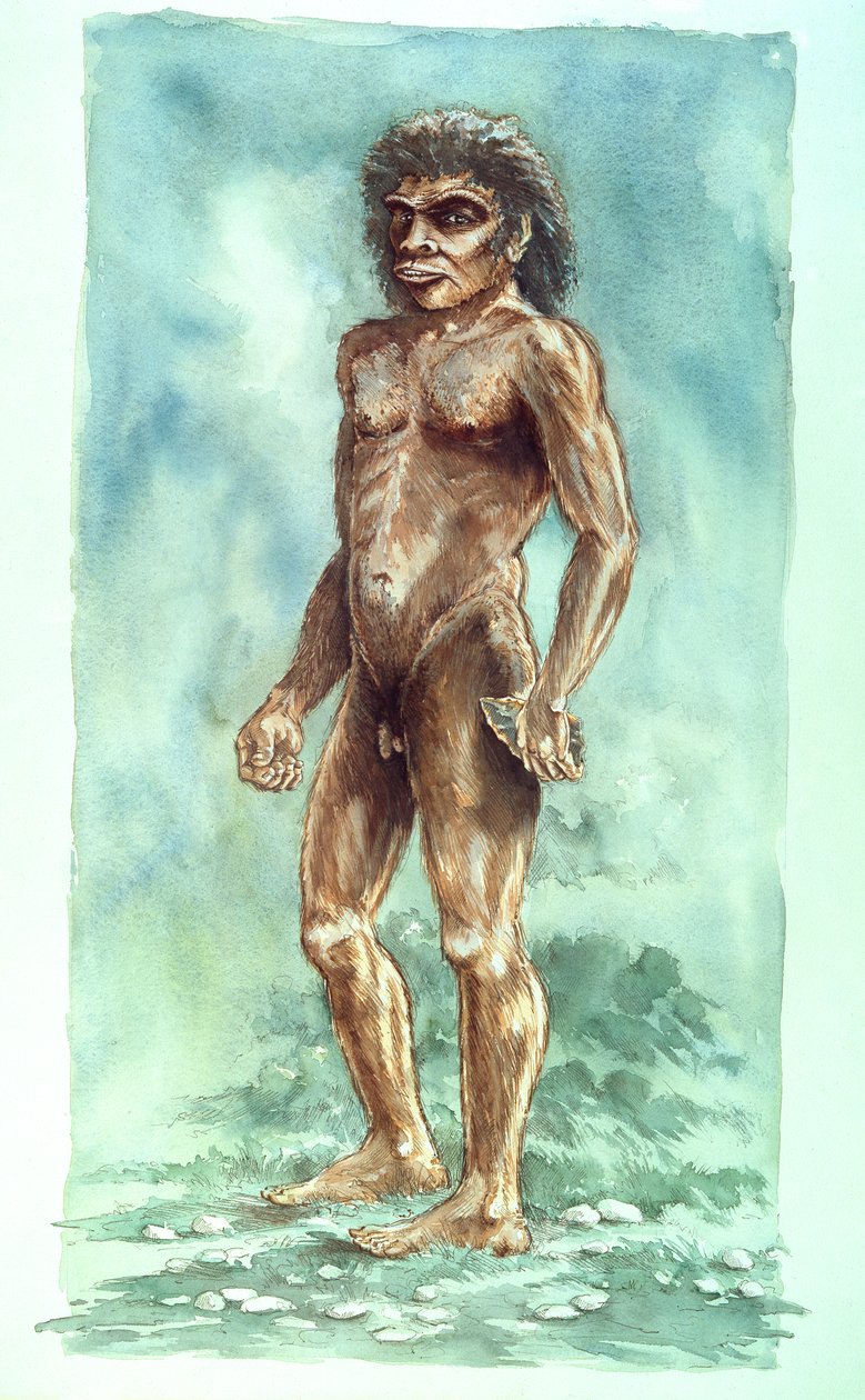 Hombre de Boxgrove, Prehistórico de Peter Dunn