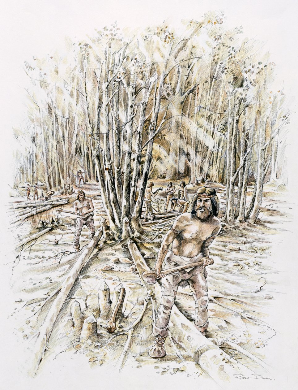 Usos del pedernal - desramado, Prehistórico, c1990-2010 de Peter Dunn