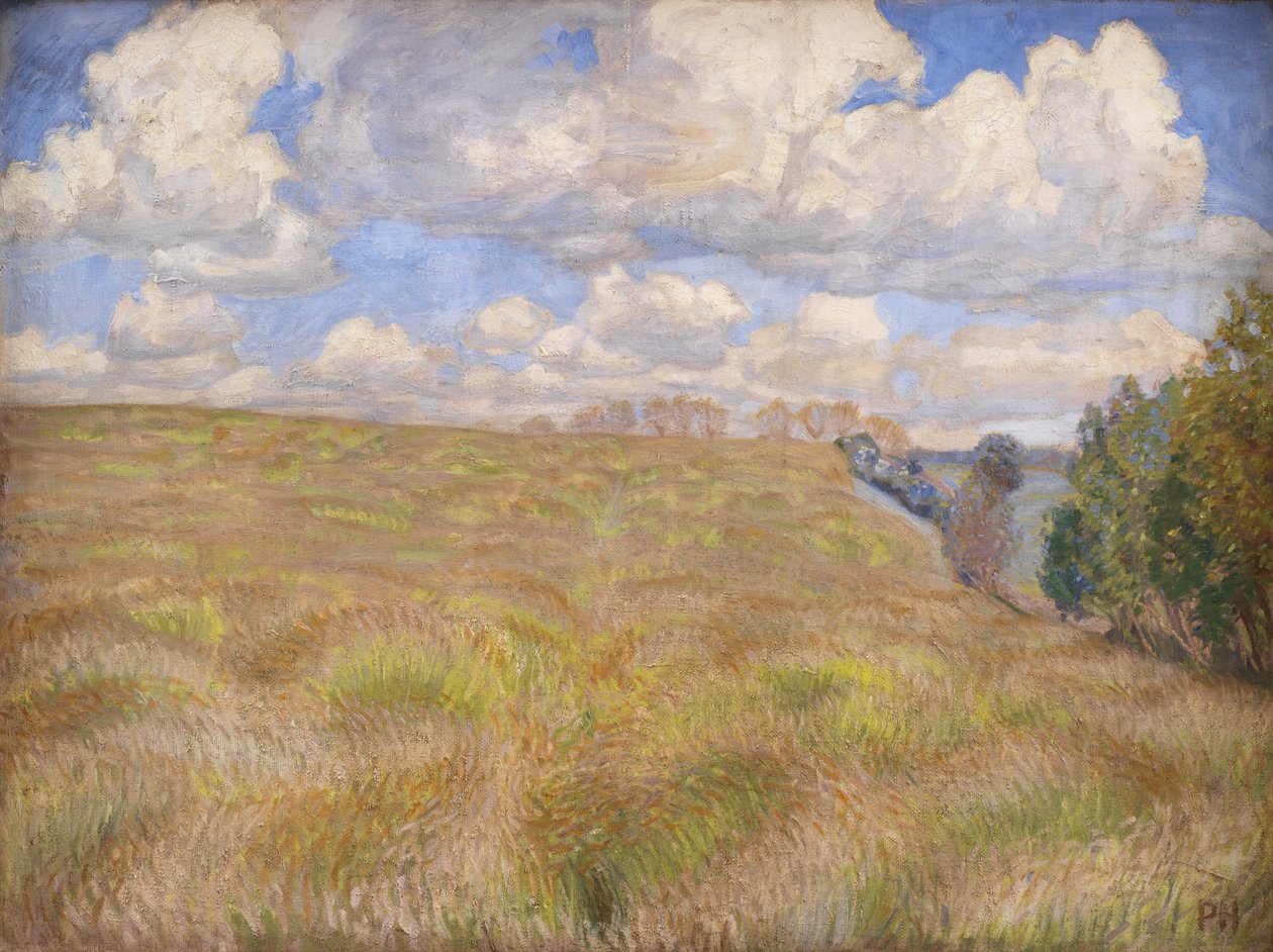 Un campo de centeno ondeante de Peter Hansen