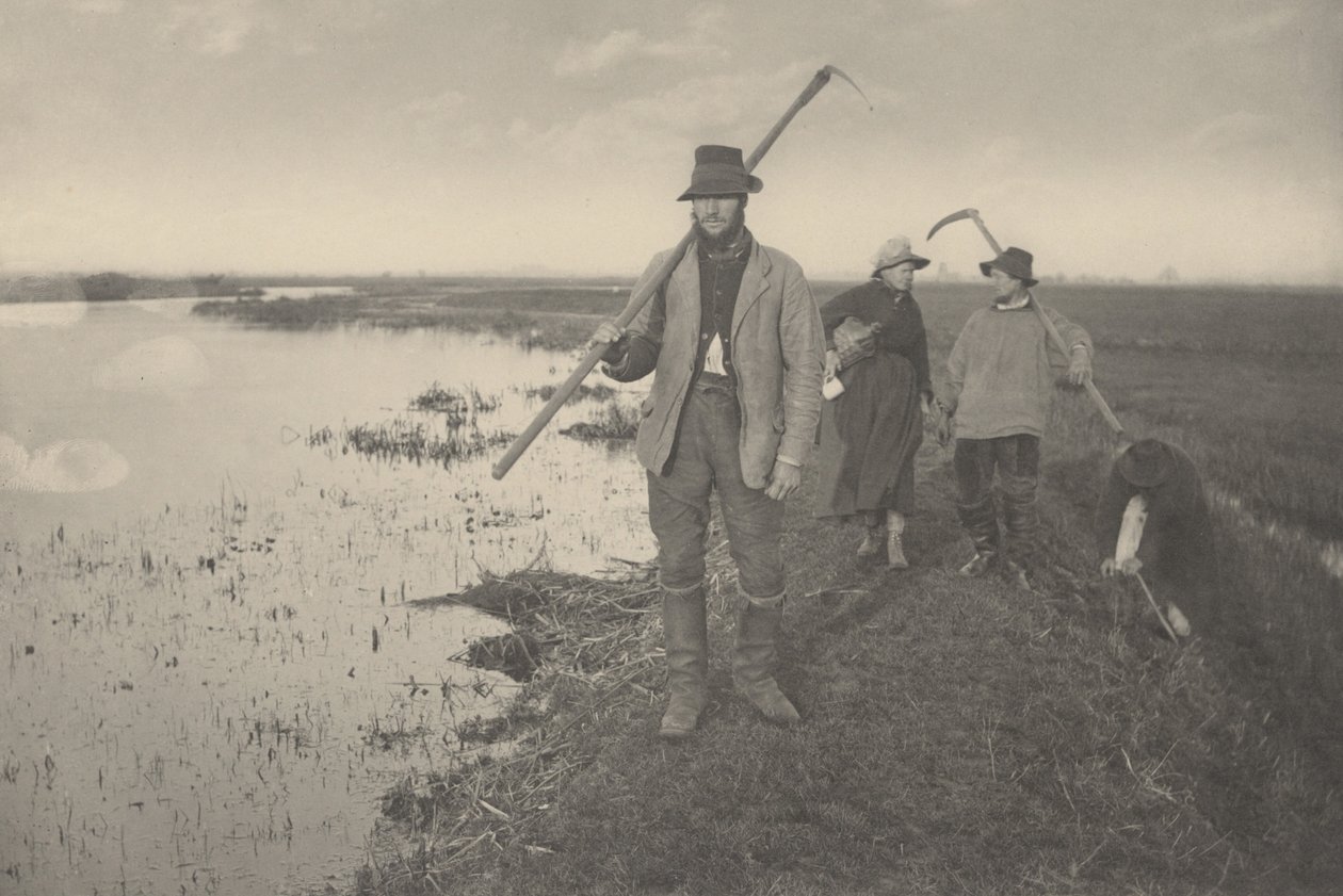 Coming Home from the Marshes,1886 (foto) de Peter Henry Emerson