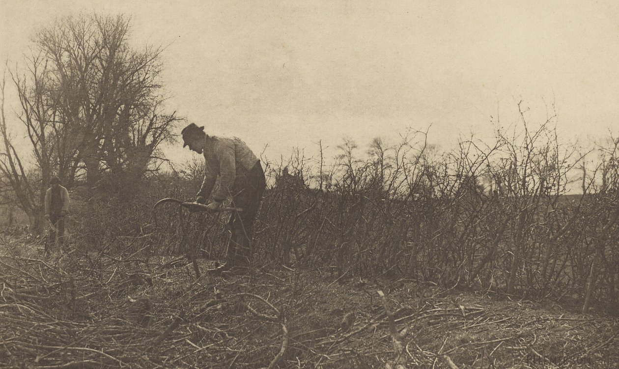 Esgrima en Suffolk de Peter Henry Emerson