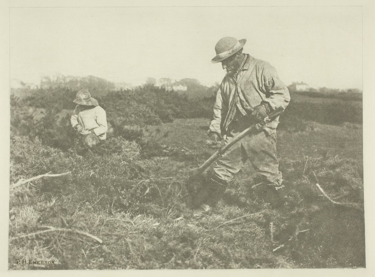 Corte de aulagas en un común de Suffolk de Peter Henry Emerson