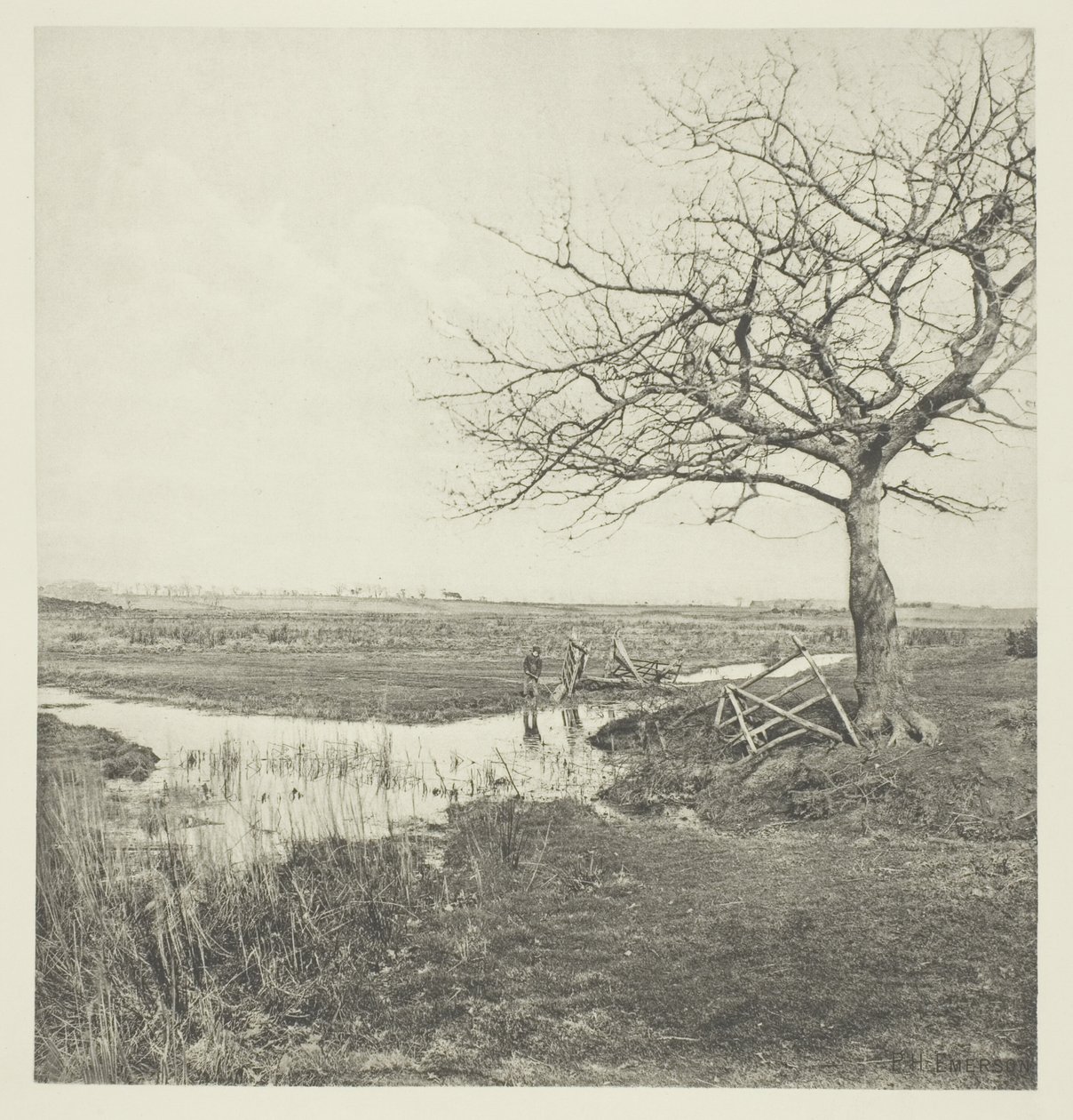 Marzo sin hojas (Suffolk) de Peter Henry Emerson