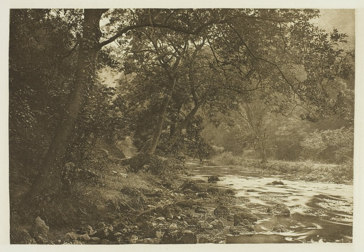 Cerca de Reynard