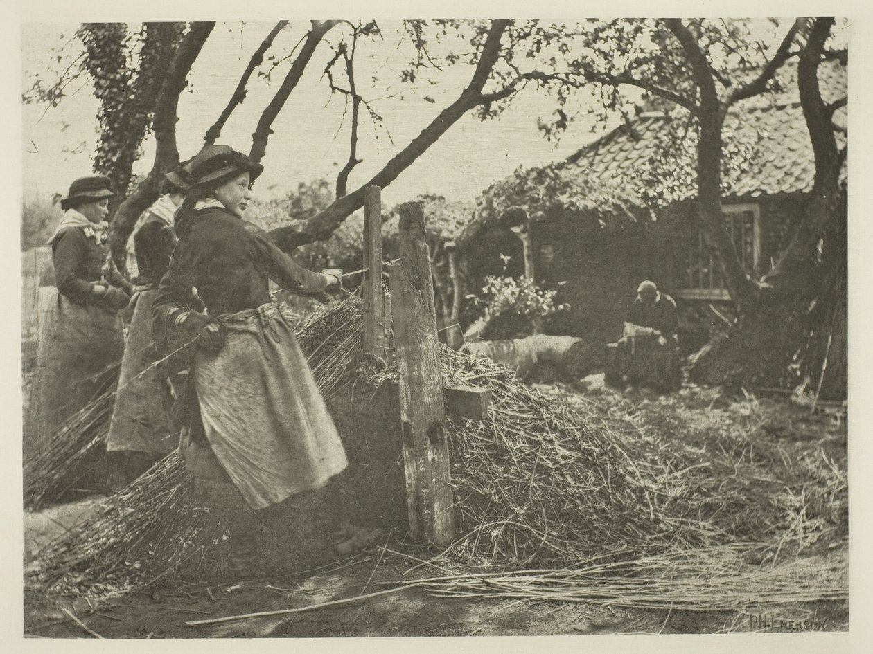 Pelado de Mimbre (Norfolk) de Peter Henry Emerson