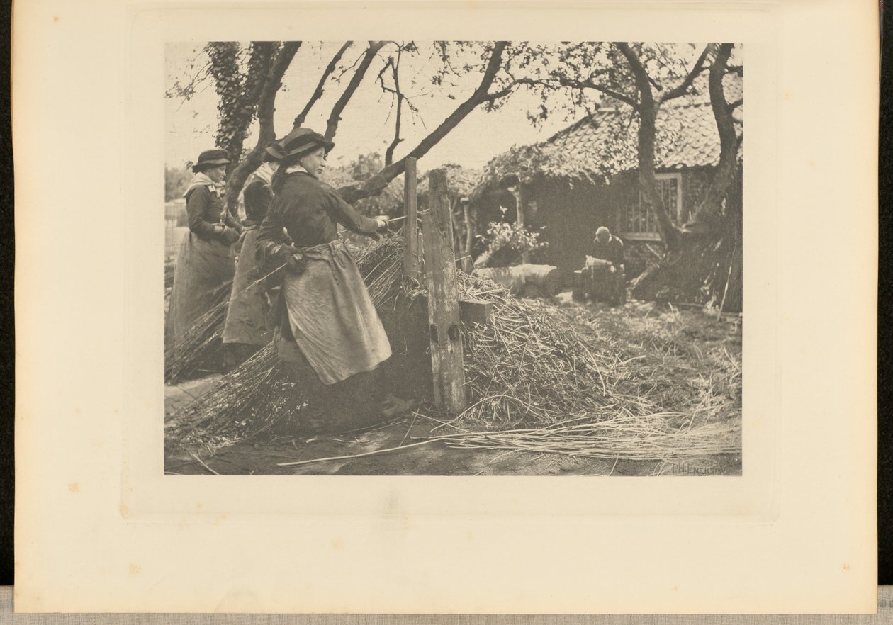 MimbrePeeling. [Norfolk]]. de Peter Henry Emerson