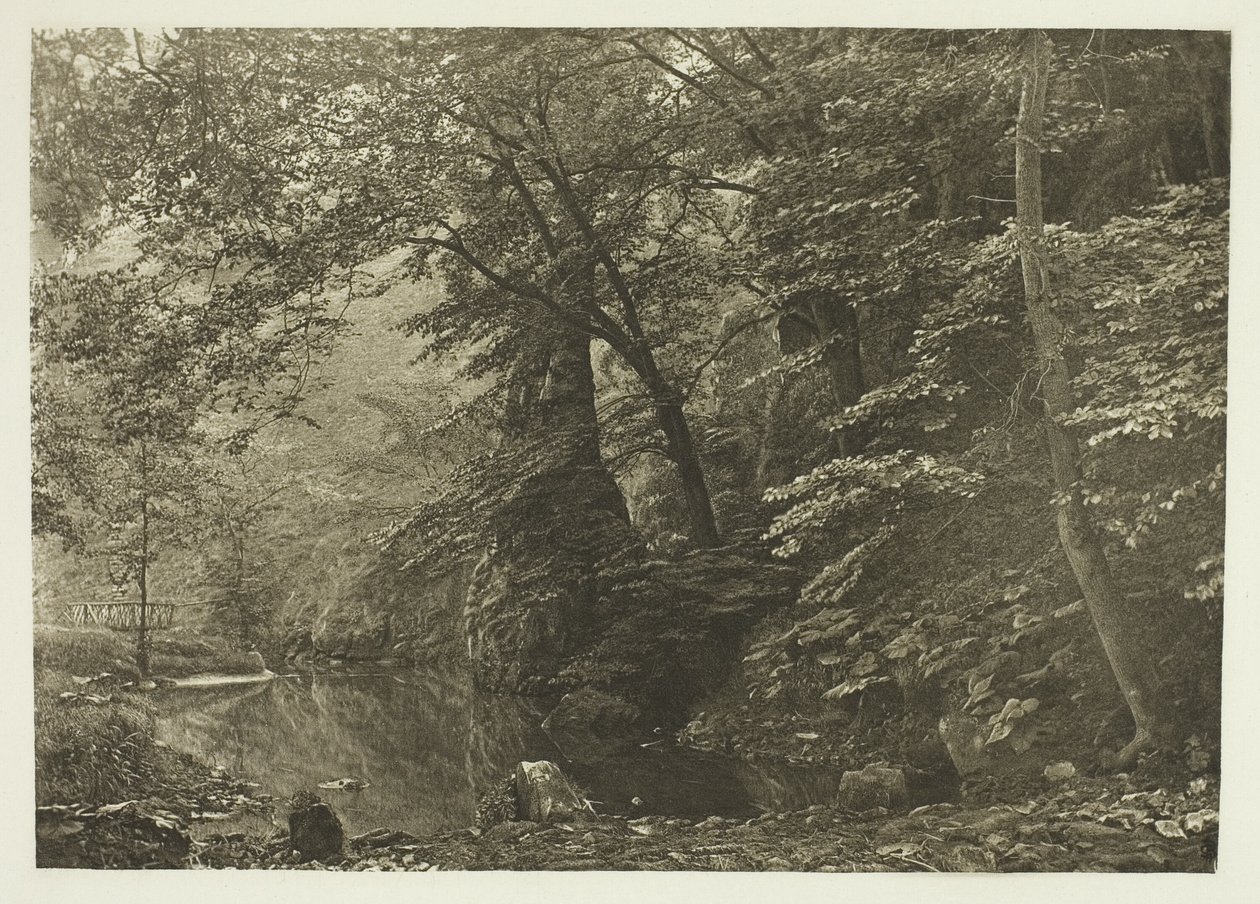"Pike Pool" (desde abajo) de Peter Henry Emerson